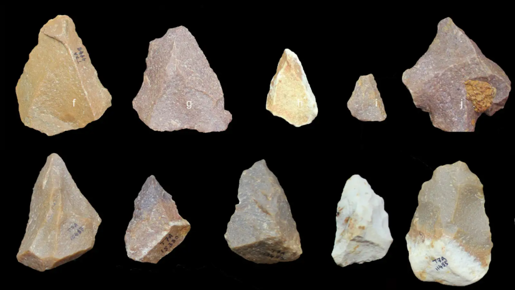 Acheulean Tools from India, Source QZ.com